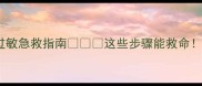 狗狗打疫苗过敏急救指南这些步骤能救命新手必看
