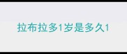 拉布拉多1岁是多久
