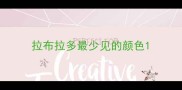 拉布拉多最少见的颜色