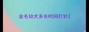 金毛幼犬多长时间打针