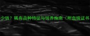 白色哈士奇多少钱稀有品种特征与饲养指南附血统证书与价格区间