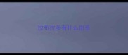 拉布拉多有什么血系