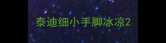 泰迪细小手脚冰凉