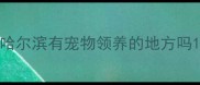 哈尔滨有宠物领养的地方吗