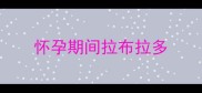 怀孕期间拉布拉多