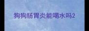 狗狗肠胃炎能喝水吗