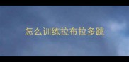 怎么训练拉布拉多跳