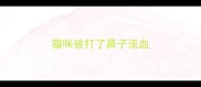 猫咪被打了鼻子流血