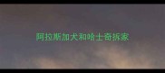 阿拉斯加犬和哈士奇拆家