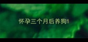 怀孕三个月后养狗