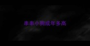 串串小狗成年多高