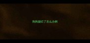 狗狗腿烂了怎么办啊