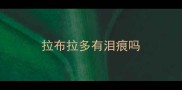 拉布拉多有泪痕吗