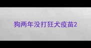 狗两年没打狂犬疫苗