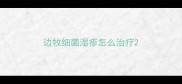 边牧细菌湿疹怎么治疗