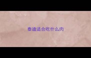 泰迪适合吃什么肉
