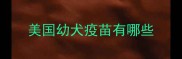 美国幼犬疫苗有哪些