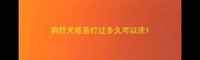 狗狂犬疫苗打过多久可以洗