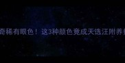 哈士奇稀有眼色这3种颜色竟成天选汪附养护指南