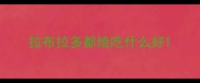 拉布拉多都给吃什么好