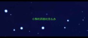 小狗吃药就吐怎么办
