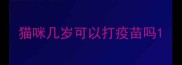猫咪几岁可以打疫苗吗
