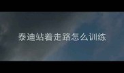泰迪站着走路怎么训练