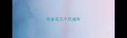 母金毛几个月成年