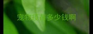 宠物疫苗多少钱啊