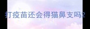 打疫苗还会得猫鼻支吗