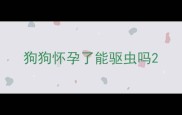 狗狗怀孕了能驱虫吗