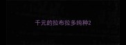 千元的拉布拉多纯种