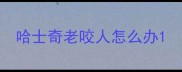 哈士奇老咬人怎么办