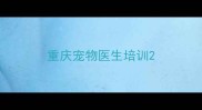 重庆宠物医生培训