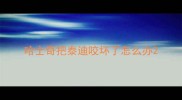 哈士奇把泰迪咬坏了怎么办