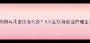 狗狗耳朵发痒怎么办5大症状与家庭护理全