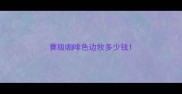 赛级咖啡色边牧多少钱