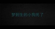 梦到生的小狗死了