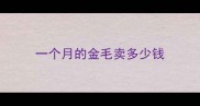 一个月的金毛卖多少钱
