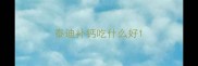 泰迪补钙吃什么好