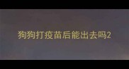 狗狗打疫苗后能出去吗