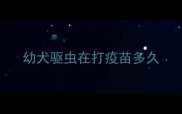 幼犬驱虫在打疫苗多久