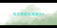 哈士奇能吃窝窝头