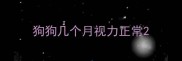 狗狗几个月视力正常