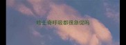 哈士奇呼吸都很急促吗