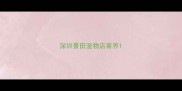 深圳景田宠物店寄养