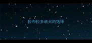 拉布拉多幼犬的选择