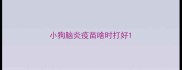 小狗脑炎疫苗啥时打好