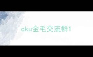 cku金毛交流群