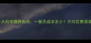 边牧成年犬科学喂养指南一餐天成本多少月均花费清单大公开